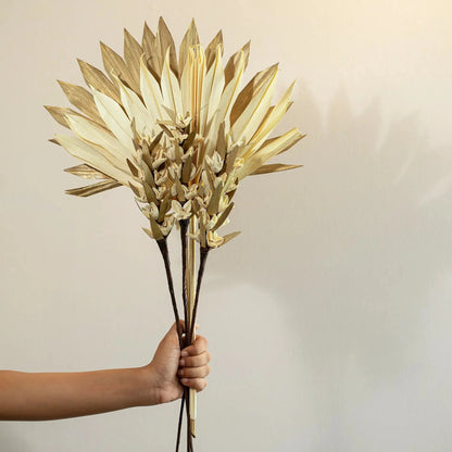 Malar sun palm &amp; bakuli flower combo