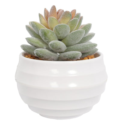 Mini Artificial Succulent Plants In Pots 10CM