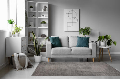 Modern brown Rug