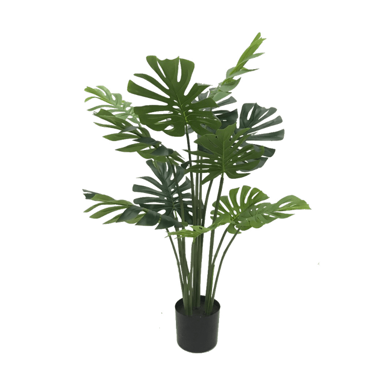 Monstera-H120cm