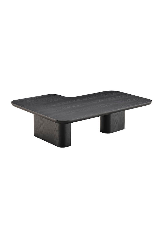 Moyn Coffee Table