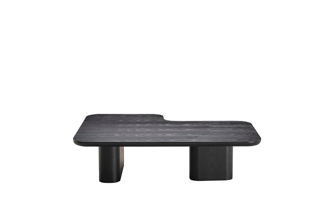 Moyn Coffee Table