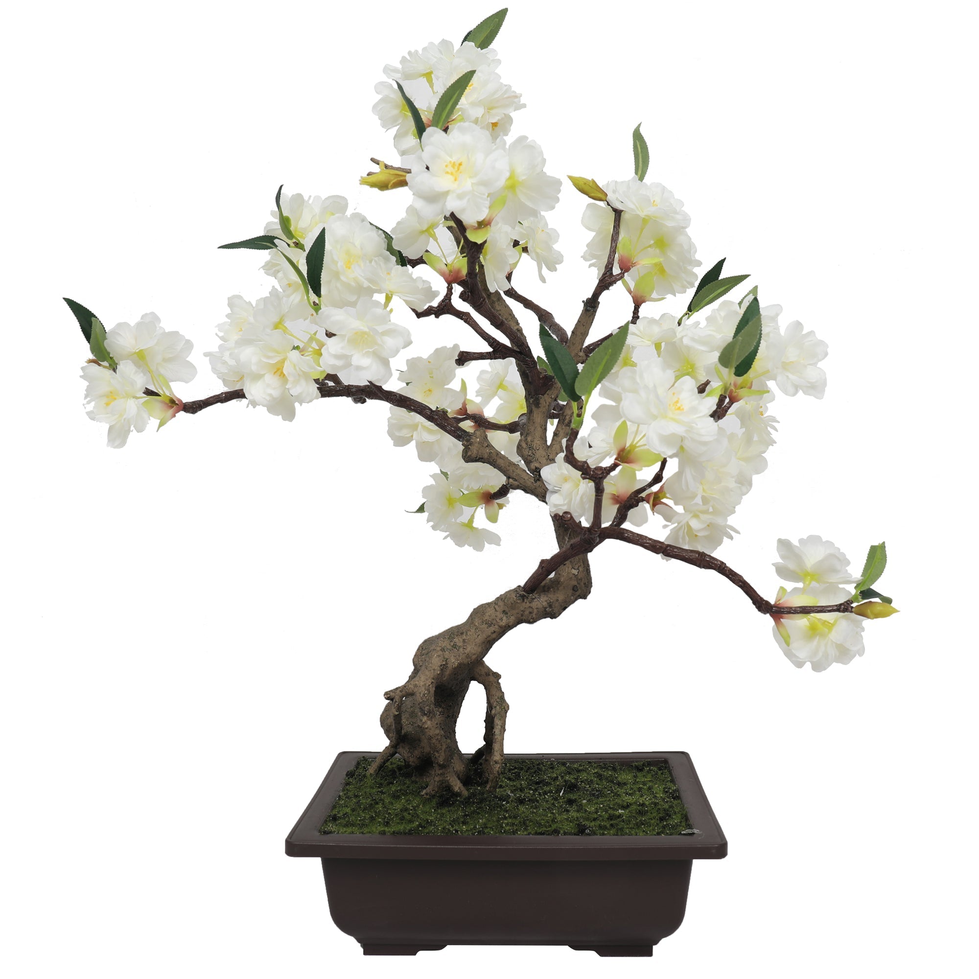 Nice Potted Cherry Blossom 55CM White Indoor