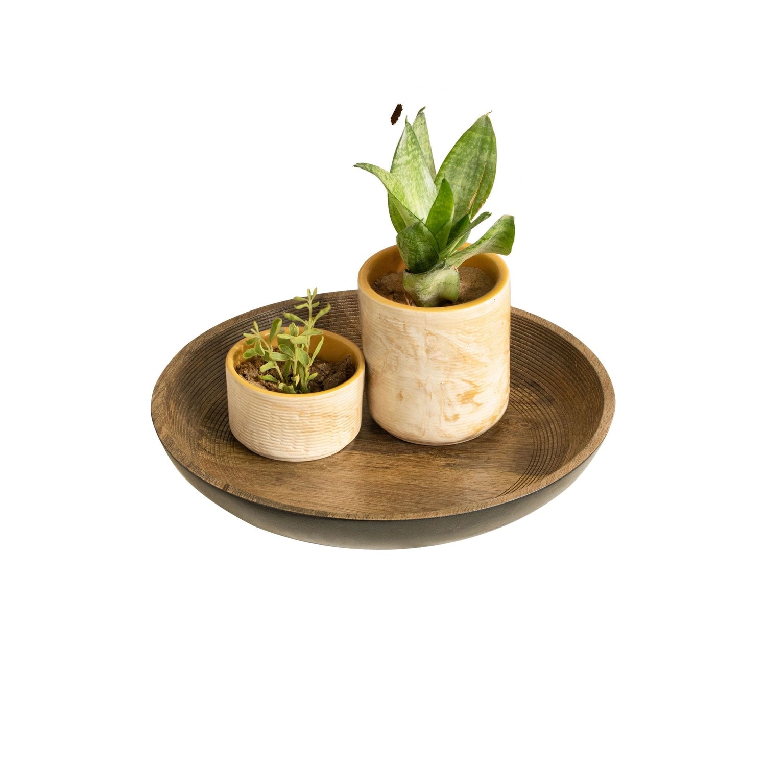 Orbis Round Shallow Bowl Large