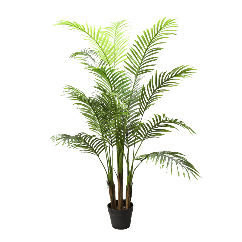 PALM TREE - 150cm