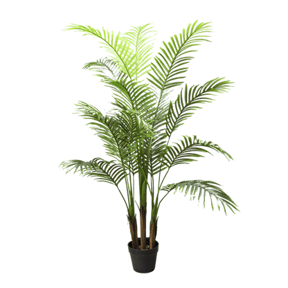 PALM TREE - 150cm