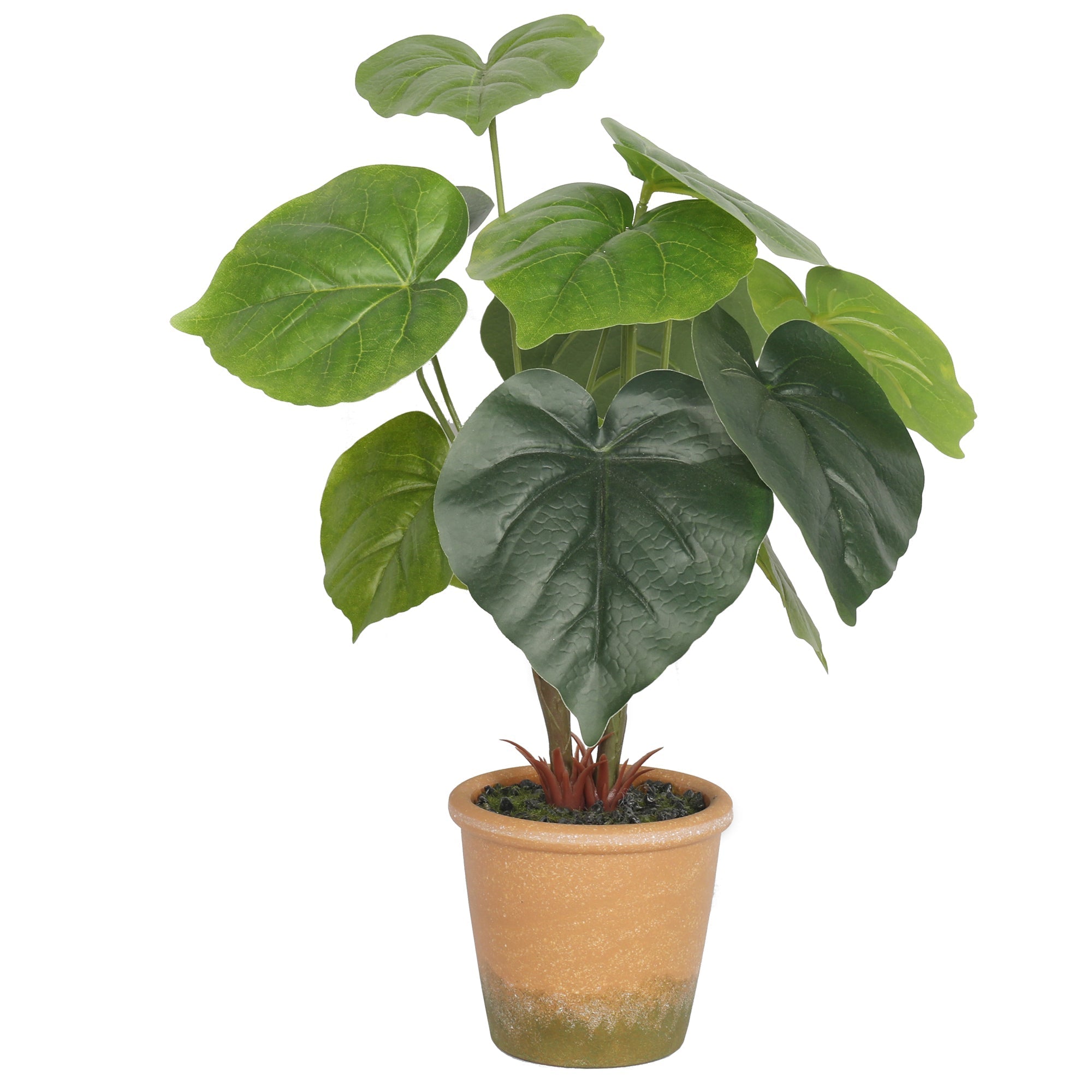 Potted Artificial Taro Plants 27CM Indoor