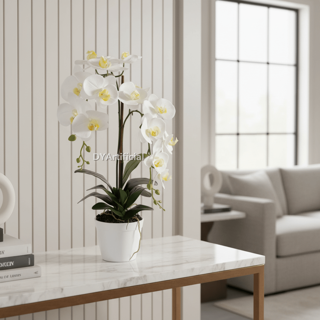 Potted Butterfly Orchid 65CM Height White Color