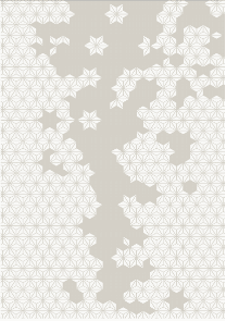 Rug 240*340 cm