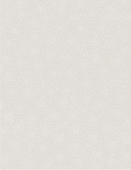 Rug 240*340 cm