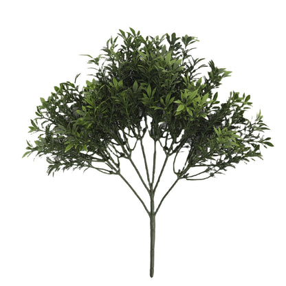 Tea Foliage Bush